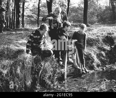 Personnes, enfants, jouer, groupe de garçons à a creek dans la forêt, Allemagne, années 1960, DROITS-SUPPLÉMENTAIRES-AUTORISATION-INFO-NON-DISPONIBLE Banque D'Images