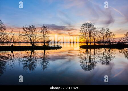 Coucher de soleil au-dessus de la rivière donau avec des arbres d'aulne commun (Alnus glutinosa), Haut-Palatinat, Bavière, Allemagne Banque D'Images