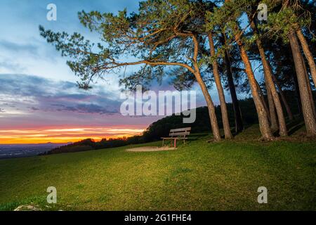 Banc de parc au lever du soleil sur le Hohenbol au-dessous du Teck, Owen, Kirchheim Teck, Esslingen, Baden-Wuerttemberg, Allemagne Banque D'Images