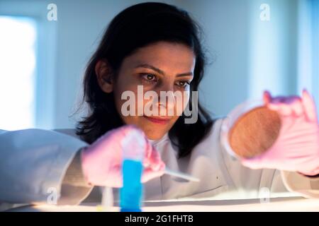 Technicien d'âge moyen en laboratoire avec blouse de laboratoire, Freiburg, BW Banque D'Images