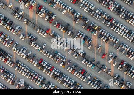 Vue aérienne de dessus vers le bas des voitures neuves au centre logistique, près de l'usine. Prêt à exporter ou importer. Parking. Banque D'Images