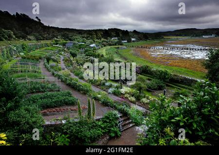 Jardins Inverewe, jardin clos, Osgood Mackenzie, Poolewe, Loch Ewe, Highlands, Highland, Écosse, Royaume-Uni Banque D'Images