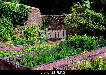 Jardins de Threave, jardin clos, literie, National Trust for Scotland, Castle Douglas, Dumfries and Galloway, Lowlands, Écosse, Royaume-Uni Banque D'Images