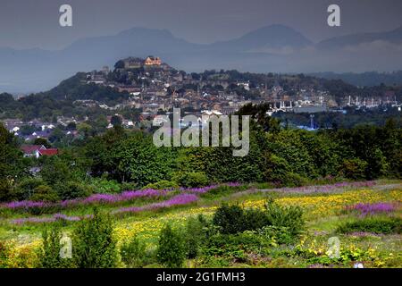 Stirling, château, colline du château, brouillard du matin, vue de Bannockburn, Stirling, Stirling et Falkirk, Midlands, Central Scotland, Écosse, Unis Banque D'Images