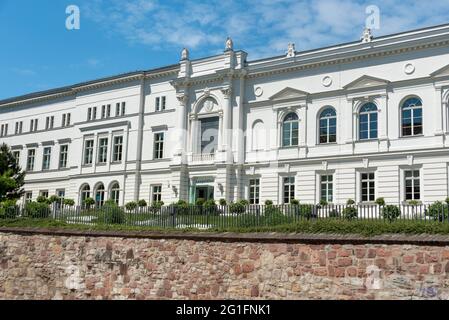 Leopoldina, Académie nationale des sciences, Halle, Saxe-Anhalt, Allemagne Banque D'Images