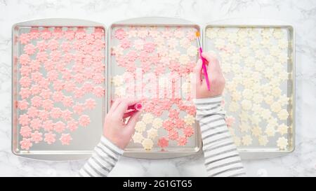 Mise à plat. Étape par étape. L'époussetage des flocons de chocolat cuir avec la poussière. alimentaires Banque D'Images