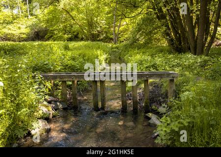 Le ruisseau de Muttenbach dans la vallée de Muttental près de Witten-Bommern, sentier de randonnée minière, Witten, Rhénanie-du-Nord-Westphalie, Allemagne. Der Muttenbach im Mut Banque D'Images