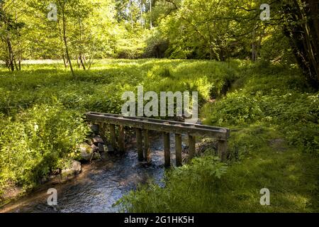 Le ruisseau de Muttenbach dans la vallée de Muttental près de Witten-Bommern, sentier de randonnée minière, Witten, Rhénanie-du-Nord-Westphalie, Allemagne. Der Muttenbach im Mut Banque D'Images