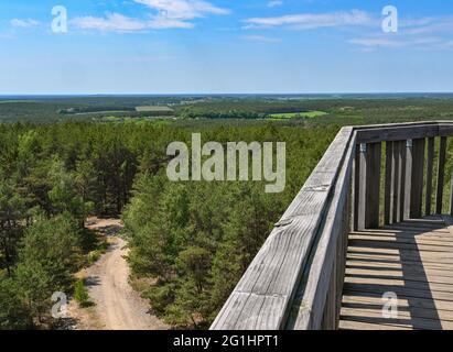Trebbin, Allemagne. 07e juin 2021. Vue depuis la tour d'observation sur le paysage boisé dans le quartier de Teltow-Fläming. Depuis 2012, il y a une tour d'observation dans le quartier Trebbin de Löwendorf. Depuis la tour de 22 mètres de haut sur le Löwendorfer Berg de 103 mètres de haut, les visiteurs ont une vue magnifique sur la campagne environnante, jusqu'à la capitale fédérale Berlin et la capitale de l'État Potsdam. Credit: Patrick Pleul/dpa-Zentralbild/ZB/dpa/Alay Live News Banque D'Images