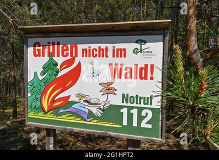 Trebbin, Allemagne. 07e juin 2021. Dans une forêt de pins, il y a un panneau de l'Office forestier de l'État de Brandebourg avec l'inscription 'Grillen nicht im Wald! Appel d'urgence 112'. Avec la hausse des températures, le danger des incendies de forêt a augmenté dans le Brandebourg. Credit: Patrick Pleul/dpa-Zentralbild/ZB/dpa/Alay Live News Banque D'Images