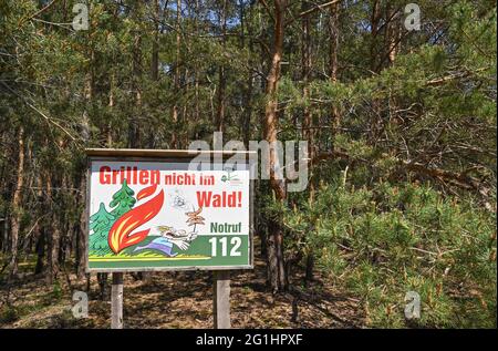 Trebbin, Allemagne. 07e juin 2021. Dans une forêt de pins, il y a un panneau de l'Office forestier de l'État de Brandebourg avec l'inscription 'Grillen nicht im Wald! Appel d'urgence 112'. Avec la hausse des températures, le danger des incendies de forêt a augmenté dans le Brandebourg. Credit: Patrick Pleul/dpa-Zentralbild/ZB/dpa/Alay Live News Banque D'Images