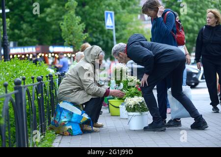 L'acheteur d'homme sent les fleurs d'une vieille femme fleuriste dans la rue de la ville Banque D'Images