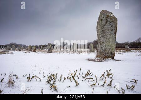 Carnac (Bretagne, Nord-Ouest de la France) : les alignements Menec couverts de neige le 2021/02/11 Banque D'Images