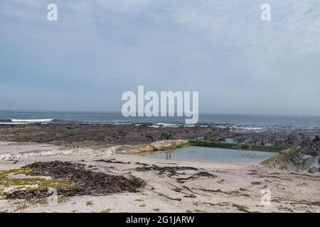 Milton - Piscine de Mer Naturelle Bassin de marée sur la plage de Sea Point - Le Cap - Afrique du Sud Banque D'Images