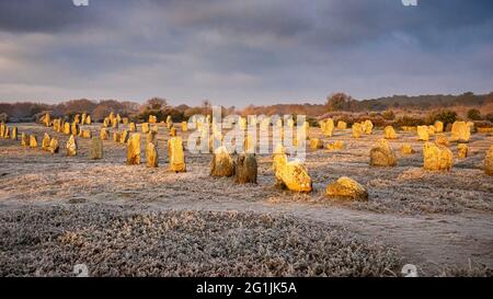 Carnac (Bretagne, Nord-Ouest de la France) : les pierres sur pied Menec Banque D'Images