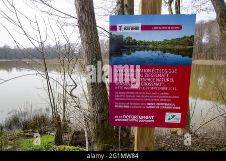 France, région du Grand est, Bas Rhin (67), zone sensible naturelle de Grossmatt, marais de Ziegelmatt, zone protégée par le Conseil départemental du Bas Rhin Banque D'Images