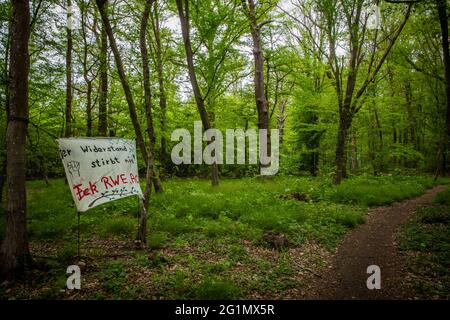 Vue détaillée du camp de protestation des militants de la conservation de la nature dans la forêt de Hambach Banque D'Images