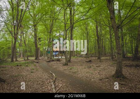 Vue détaillée du camp de protestation des militants de la conservation de la nature dans la forêt de Hambach Banque D'Images