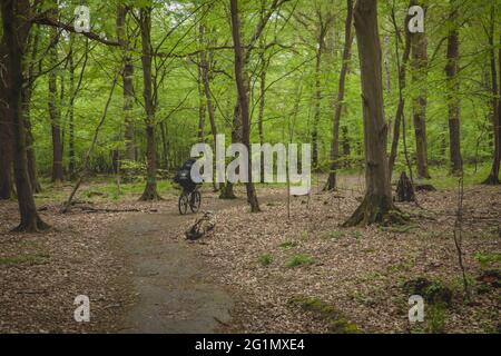 Vue détaillée du camp de protestation des militants de la conservation de la nature dans la forêt de Hambach Banque D'Images