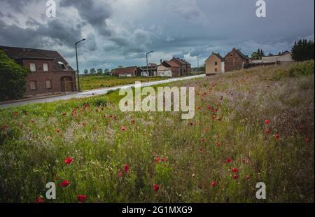 Vue détaillée du village abandonné et réarbré de Manheim - ancien pour la mine d'opencast de Hambach Banque D'Images