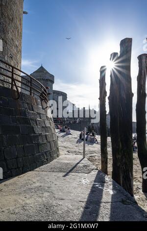 France, Ile et Vilaine, Saint-Malo, les brises en troncs de chien au pied du château de la Duchesse Anne Banque D'Images
