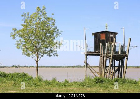 France, Gironde, estuaire de la Gironde, Saint-Andronny, port de Belle-Etoile, carrelate (cabane sur pilotis avec son filet de pêche spécifique) Banque D'Images