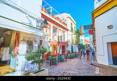 CORDOBA, ESPAGNE - 30 SEPTEMBRE 2019 : la rue touristique Calle Romero est bordée de maisons à vin (bodegas), cafés, boutiques d'artisanat, boutiques de souvenirs, on Banque D'Images