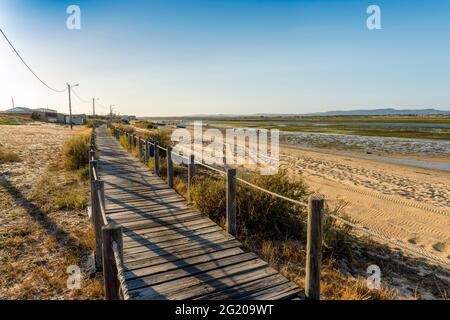 Allées en bois avec vue sur les terres humides de Ria Formosa sur la péninsule de Faro Beach, Faro, Algarve, Portugal Banque D'Images