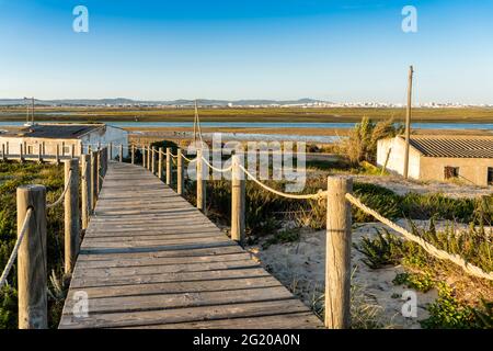 Allées en bois avec vue sur les terres humides de Ria Formosa sur la péninsule de Faro Beach, Faro, Algarve, Portugal Banque D'Images
