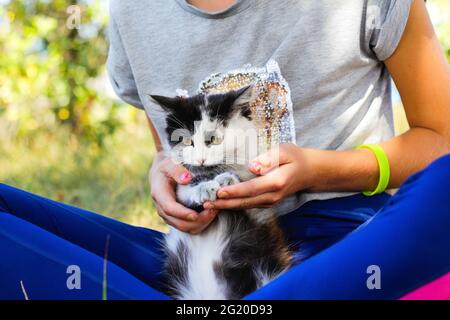 Effet de flou artistique en jouant avec un chat, un petit chaton noir et blanc. Nature vert fond d'été. Une fille qui s'en est à l'animal. Animaux d'amour concept. Poser lotus. Sortie Banque D'Images