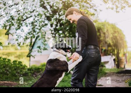 L'homme d'âge moyen rit et joue avec le chien dans l'arrière-cour. La vie rurale. La personne se réjouit avec l'animal de compagnie. Banque D'Images