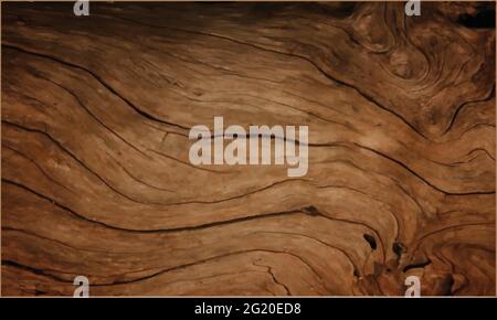 La texture de la surface du bois a été vectorisée Illustration de Vecteur