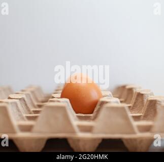 Quelques oeufs bruns parmi les cellules vides d'un grand sac en carton, un oeuf de poulet comme un produit nutritif précieux, un plateau pour transporter et stocker les fragi Banque D'Images