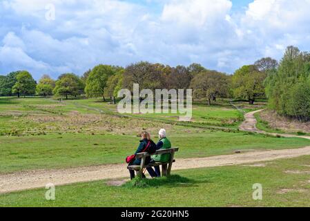 Couple de personnes âgées assis sur le banc en admirant la vue lors d'une journée de printemps à Richmond Park, Londres, Angleterre, Royaume-Uni Banque D'Images