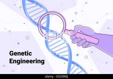 Scientifique regardant l'ADN à travers la loupe chercheur faisant des expériences dans le test d'ADN en laboratoire génie génétique Illustration de Vecteur