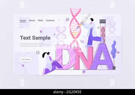 Équipe de scientifiques travaillant avec des chercheurs en ADN faisant des expériences dans le test d'ADN de laboratoire concept de génie génétique Illustration de Vecteur
