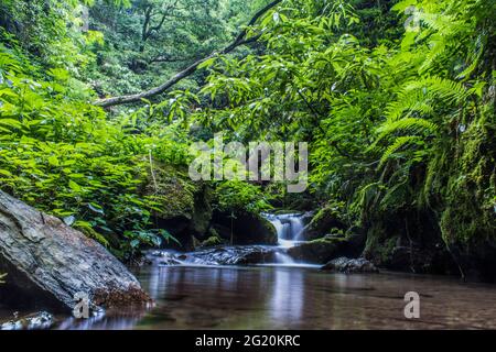 Les différentes vues de Jibhi Village Banque D'Images