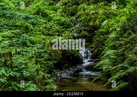 Les différentes vues de Jibhi Village Banque D'Images