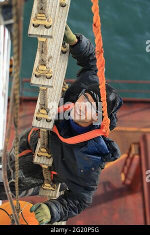 Sur le navire, les travaux de dynamitage/raclage et de peinture ne se terminent jamais pour éviter la corrosion. Surtout si le temps est ensoleillé, vous verrez certainement les marins peindre sur le pont. Seaman peint la superstructure, à 10 mètres de hauteur sur l'échelle, Banque D'Images