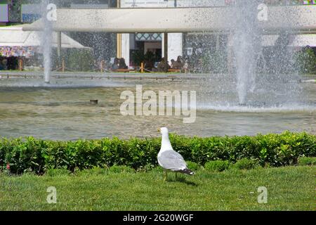 Place Omonia, au centre d'Athènes, Athènes, Grèce. 25 mai 2021 Banque D'Images