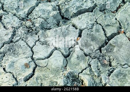 Gros plan de la terre sèche. Le fond est fissuré. Craquer les sols séchés lors de la sécheresse, affectés par le réchauffement climatique a fait changer le climat. Manque d'eau. Banque D'Images