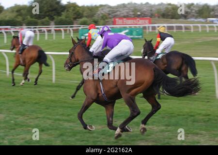 Courses hippiques exemplaires depuis 1816.chevaux et jockeys pendant une course à Musselburgh Racecourse, East, Lothian, Scotland, UK Banque D'Images