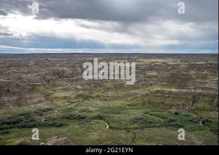 Parc provincial des dinosaures en Alberta, Canada, site classé au patrimoine mondial de l'UNESCO, réputé pour sa topographie saisissante des badland et son abondance de fossiles de dinosaures, Banque D'Images