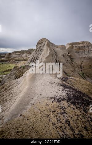 Parc provincial des dinosaures en Alberta, Canada, site classé au patrimoine mondial de l'UNESCO, réputé pour sa topographie saisissante des badland et son abondance de fossiles de dinosaures, Banque D'Images