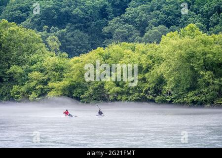 Paddleboardeurs sur la rivière Chattahoochee à Roswell, en Géorgie, comme la brume de rivière monte le long de la surface de l'eau. (ÉTATS-UNIS) Banque D'Images