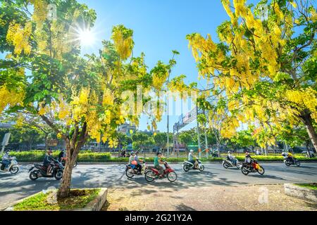 Trafic occupé sur le boulevard avec les fleurs de la fistule de Cassia plantées le long des ornes de bord de route ville en pleine croissance paysage urbain ville Ho Chi Minh ville, Vietnam Banque D'Images