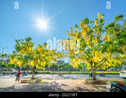 Trafic occupé sur le boulevard avec les fleurs de la fistule de Cassia plantées le long des ornes de bord de route ville en pleine croissance paysage urbain ville Ho Chi Minh ville, Vietnam Banque D'Images