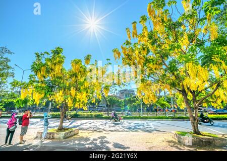 Trafic occupé sur le boulevard avec les fleurs de la fistule de Cassia plantées le long des ornes de bord de route ville en pleine croissance paysage urbain ville Ho Chi Minh ville, Vietnam Banque D'Images