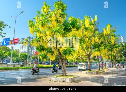 Trafic occupé sur le boulevard avec les fleurs de la fistule de Cassia plantées le long des ornes de bord de route ville en pleine croissance paysage urbain ville Ho Chi Minh ville, Vietnam Banque D'Images