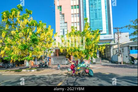 Trafic occupé sur le boulevard avec les fleurs de la fistule de Cassia plantées le long des ornes de bord de route ville en pleine croissance paysage urbain ville Ho Chi Minh ville, Vietnam Banque D'Images